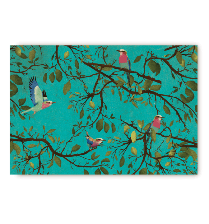 Holler bird turquoise postcard