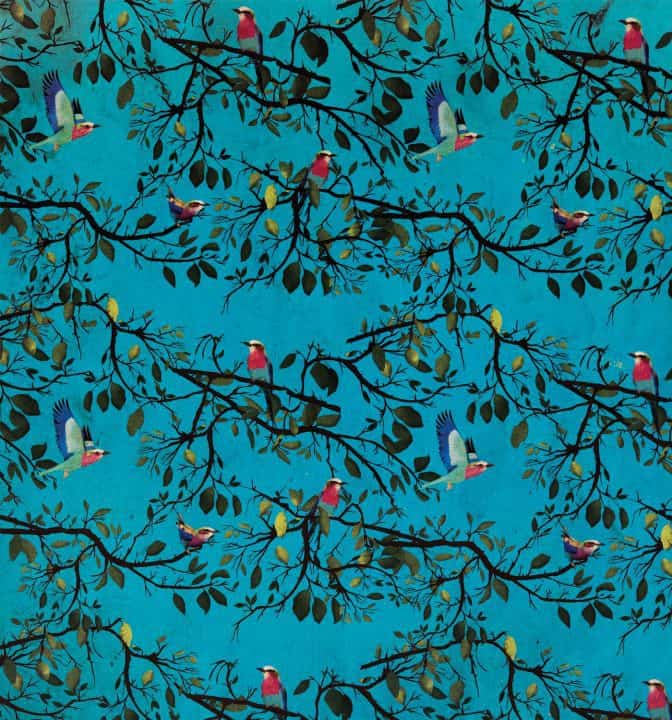 Turquoise holler bird gift wrap